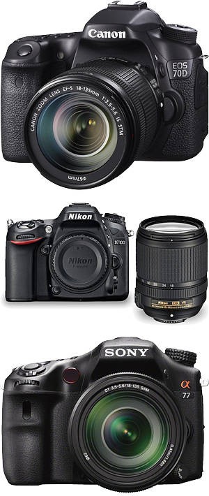 Popular DSLR models from Canon, Nikon and Sony
