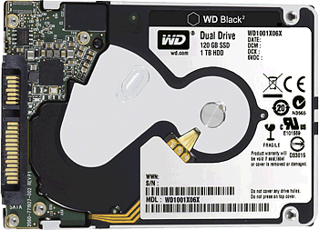 WD Black2 Dual Drive SSD and HDD