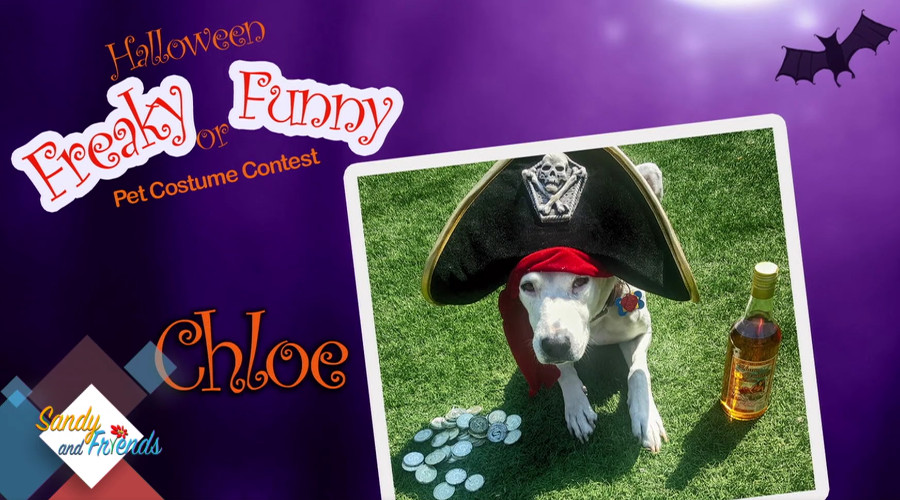 Chloe the Pirate Makes Television Debut
