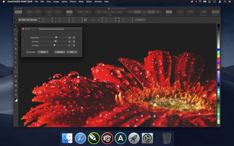 The suite offers an expansive toolbox of versatile, intuitive, and integrated applications, including CorelDRAW 2019 for vector graphic design, illustration, and page layout, and Corel PHOTO-PAINT 2019 for powerful image editing.