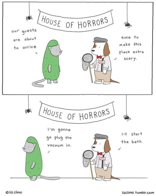 Pets House of Horrors