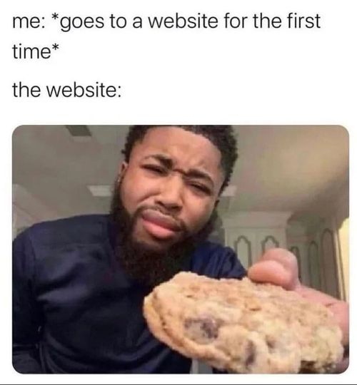 Website Cookies