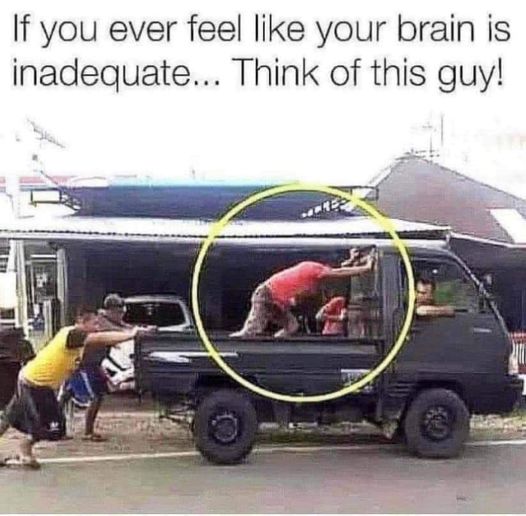 Brain Inadequate