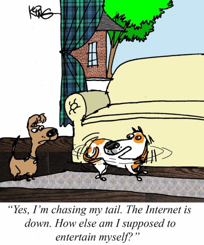 Chasing Tail Internet Down