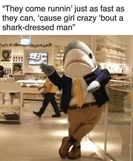 Shark Dressed Man
