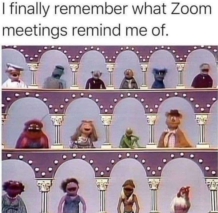 Zoom Meetings