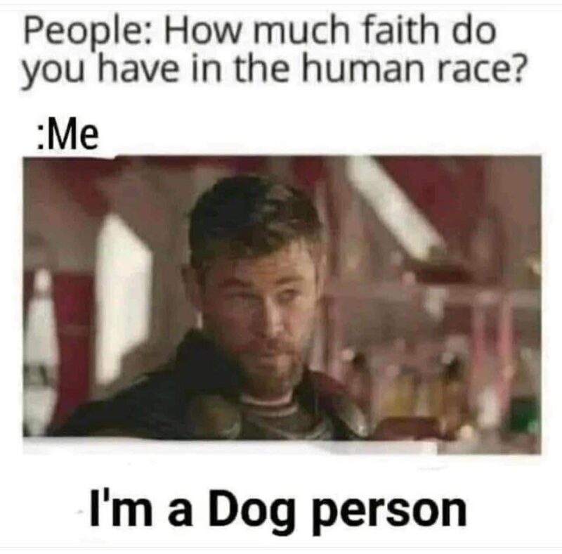 Dog Person