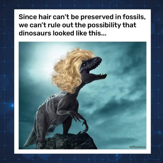 Dinosaur Hair